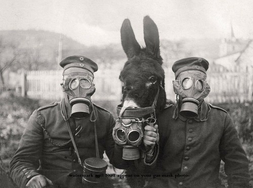 German soldiers wearing gas - soldiers,