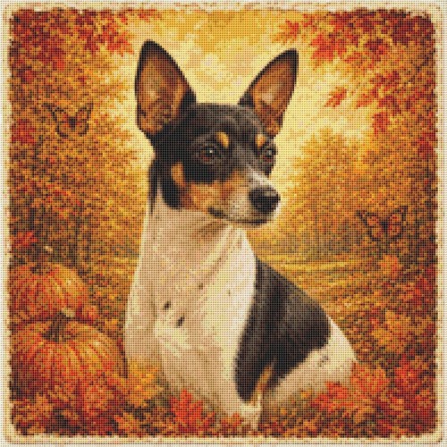 Rat terrier puppy dog - dog, in
