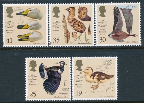 1996 wildfowl and wetlands - gb,