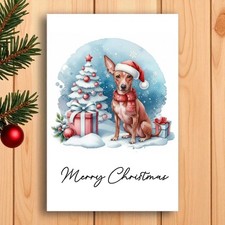 American hairless terrier - american,