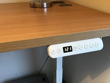 Electric Standing Desk Home