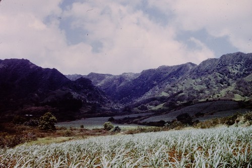 June 1972 beautiful ranch - june,