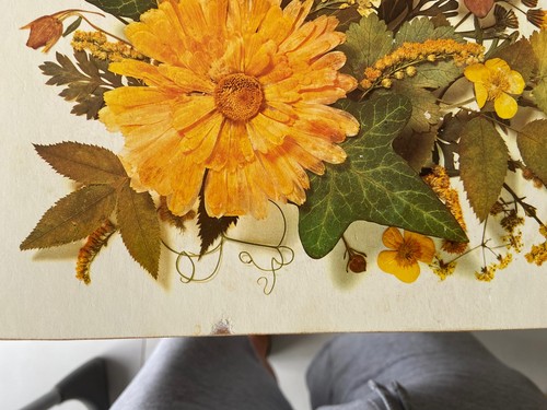 Vintage clover leaf - vintage, placemats