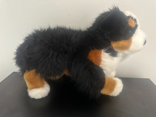 Douglas trevor bernese - douglas,
