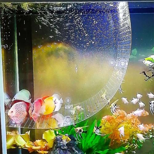 Fish tank breeding case - fish,