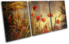 Poppies Flowers Red Poppy