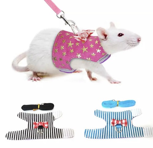 Extra small tiny - pet, mouse
