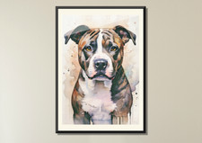 Staffordshire Bull Terrier, Water Colour themed Print. Ltd Edition. Dog, Dogs A4