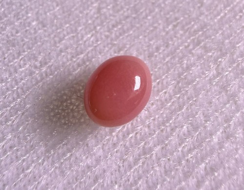 7ct natural conch pearl - conch,
