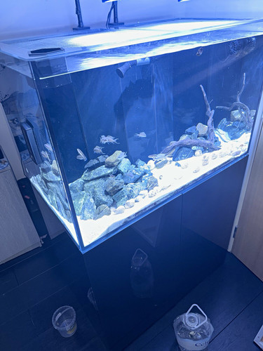 Marine aqua pro - d&d,