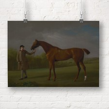 George Stubbs: Lustre, Held by