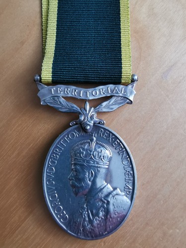 Territorial efficiency medal - efficiency,
