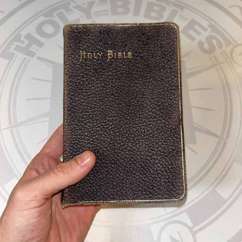 Holy bible old new - -,