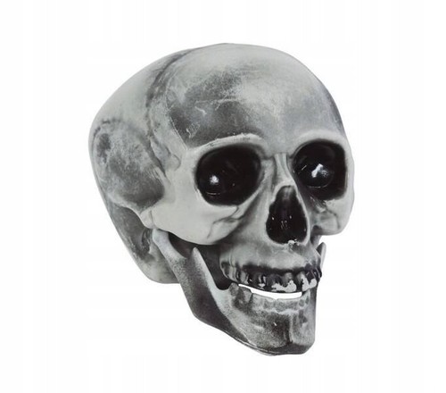 Life sized halloween skull - life,