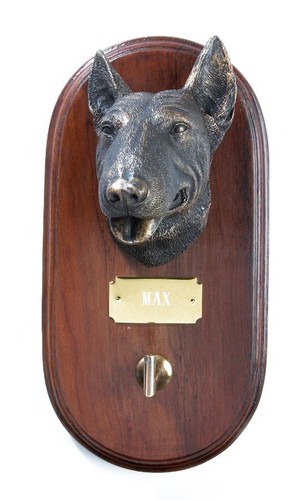 English bull terrier dog lead - dog,