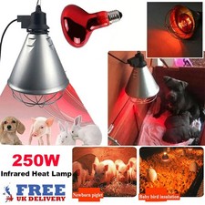 250W Infrared Heat Lamp Farm