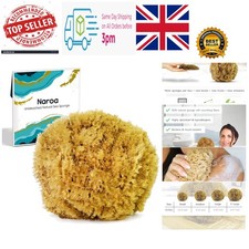Exfoliating Natural Sponge for