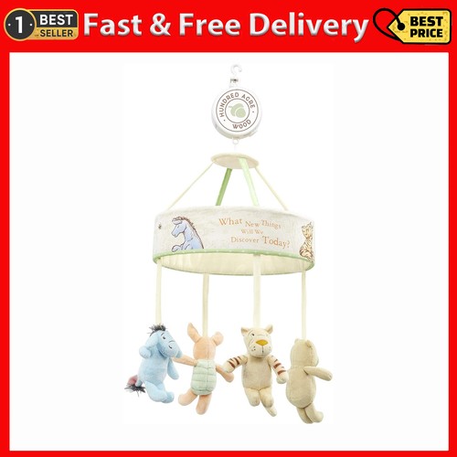 Rainbow designs winnie - rainbow,