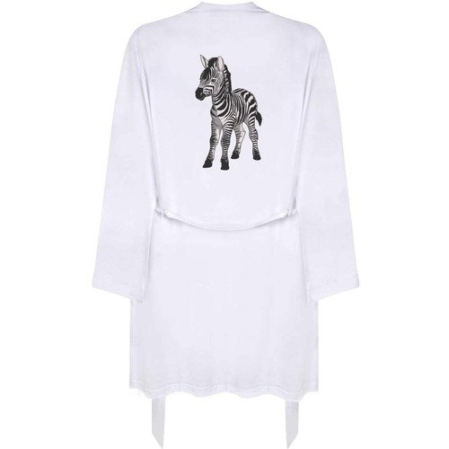 Small zebra foal adult - foal',