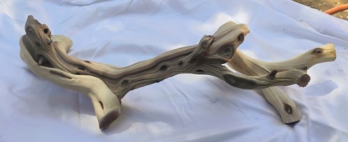 Manzanita driftwood for home - driftwood,
