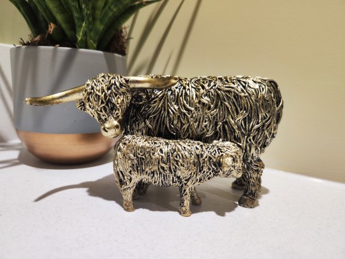 Golden highland coo cow and - highland,