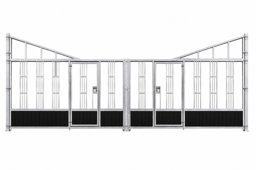 Young horse fronts - fronts, with