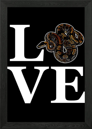 Love ball pythons retro - love,