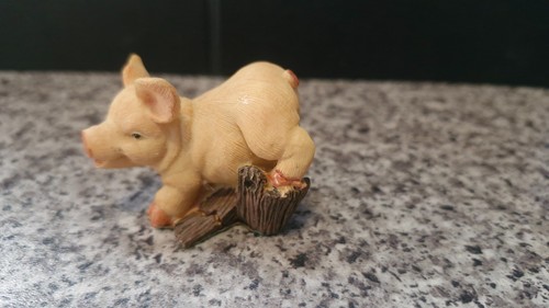 The leonardo collection - -, pig