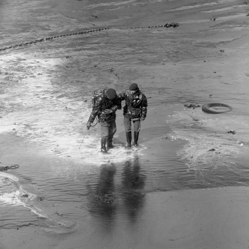 Disasters torrey canyon - disasters,
