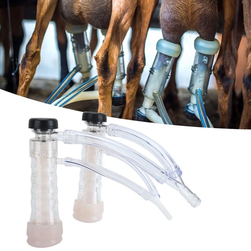 Portable goat milking - goat, machine