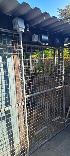 Outdoor metal dog kennel - outdoor,