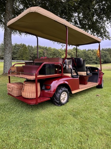 Bespoke cushman ezgo person - bespoke,