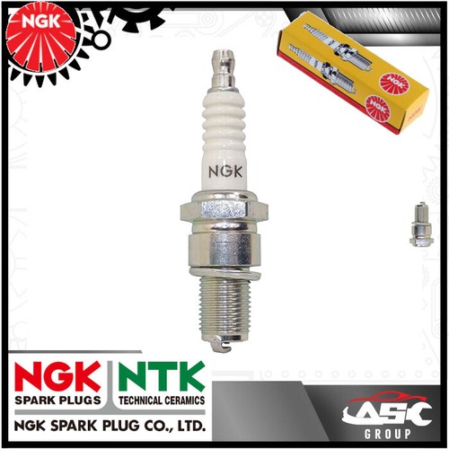 New ngk spark plug for - spark,