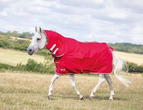 Shires tempest original - original, lite