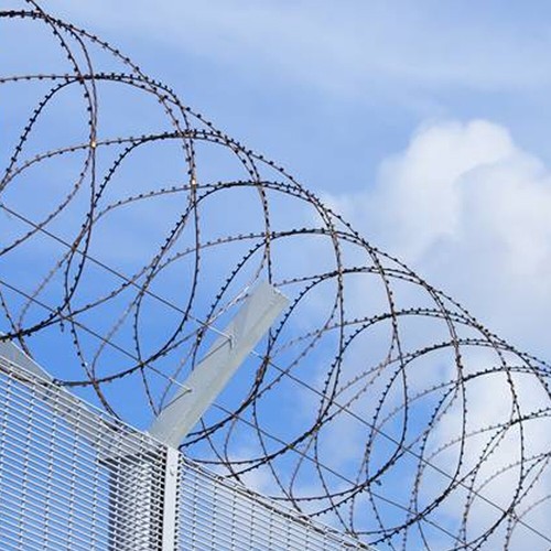 Lifelook razor wire - wire, 10m