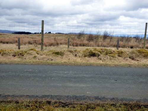 Photo 6x4 deer fence - photo, at