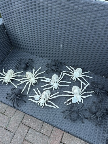 Halloween decoration party - decoration,