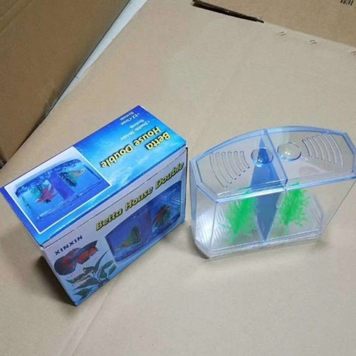 Transparent betta fish tank - betta,