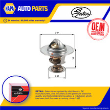 Coolant Thermostat fits