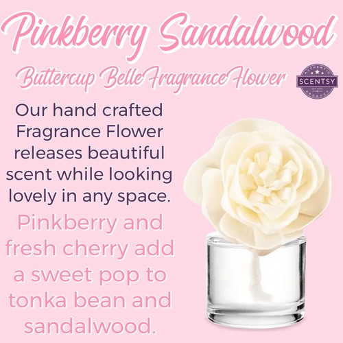 Scentsy pinkberry sandalwood - scentsy,