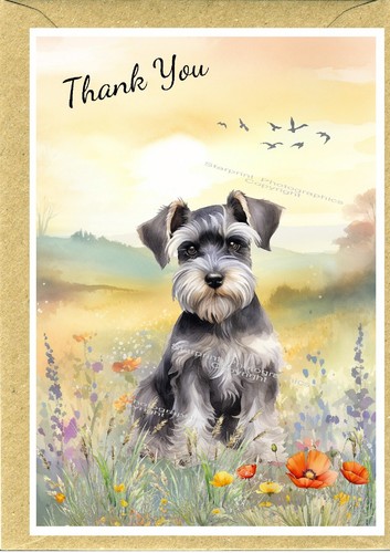 Miniature schnauzer dog thank - miniature,