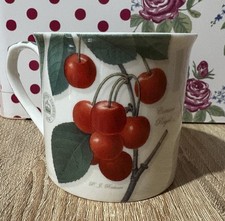 Kew Botanic Gardens Fine Bone