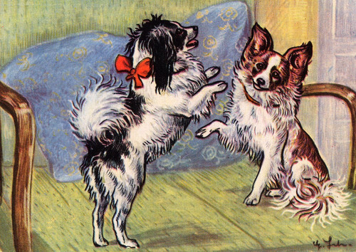 Papillon dog greeting card - dog,