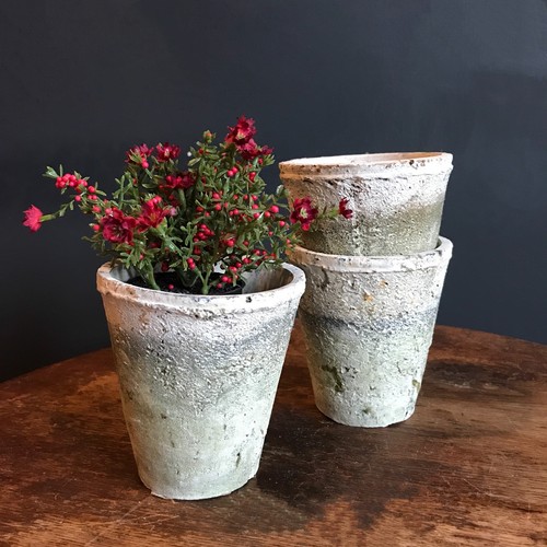 Aged white stone plant - white,