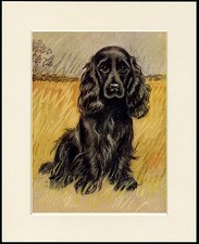 COCKER SPANIEL CHARMING LITTLE