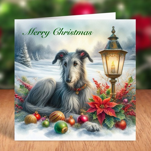 Scottish deerhound dog - scottish,