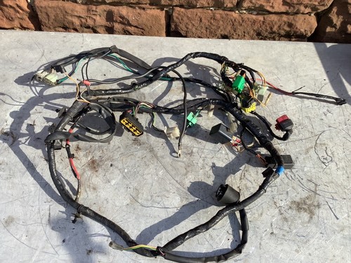 Suzuki gs500e 2005 wiring loom - 2005,