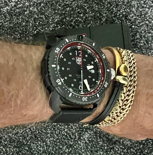 Luminox ice sar quartz - sar, quartz’s