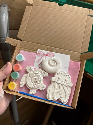 Plaster painting kit turtle - painting, kit,