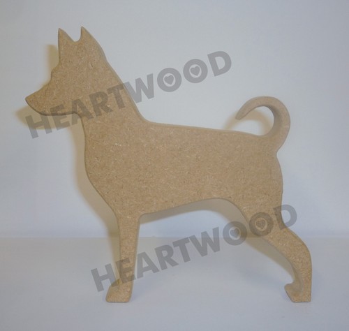 Miniature pinscher dog - miniature,